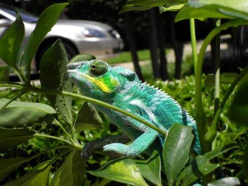 july 31 2010 pics 021.jpg