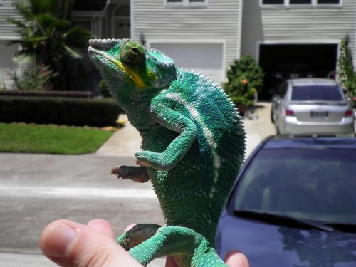 july 31 2010 pics 027.jpg