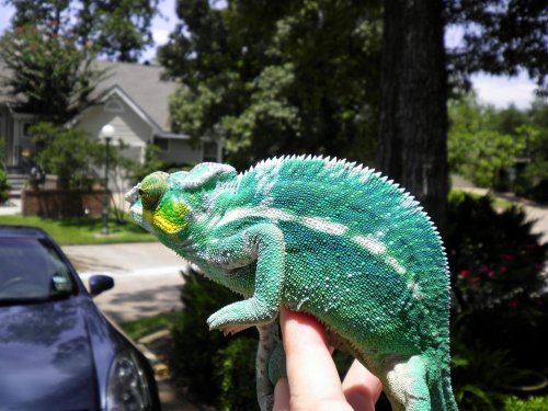 july 31 2010 pics 025.jpg