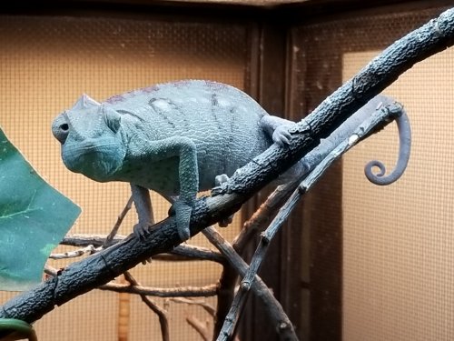20171120_125834.jpg