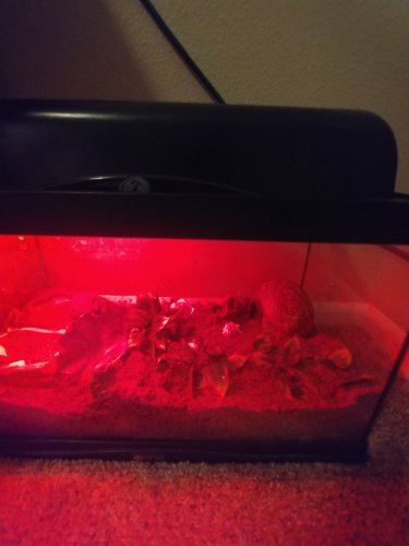 20171122_230746.jpg