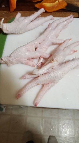 Chicken Feet Raw.jpg