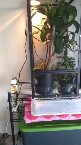 20171218_141248 (1).jpg