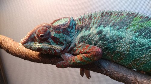 20171227_201221.jpg