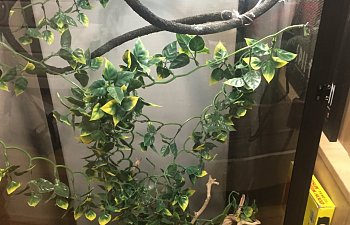 i mcfricken love Leon