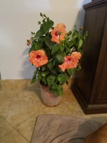 20180104_123046.jpg