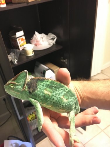 0585E142-C03E-400E-9994-266385ACA2D1.jpeg