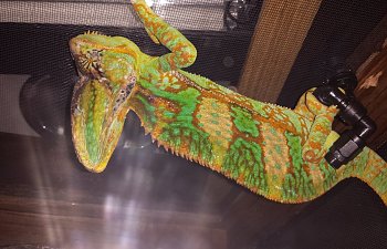 Common First Question...