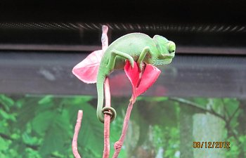 Guide to the Forums... Part II