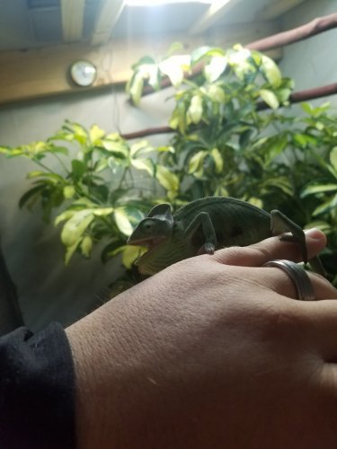 20180120_083228.jpg