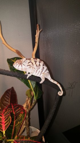 20180201_094144.jpg