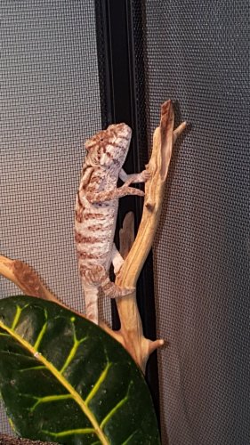 20180127_090739.jpg