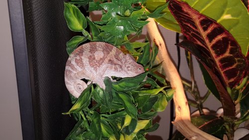 20180121_194826.jpg