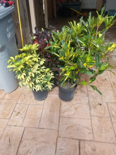 20180210_121634.jpg