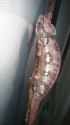 20180304_160103.jpg