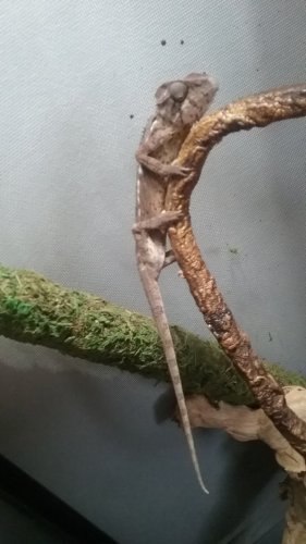 20180304_160015.jpg