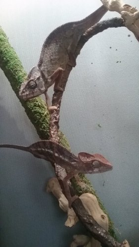 20180304_165036.jpg