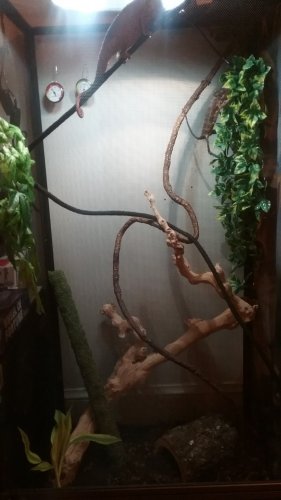 20180304_210436.jpg