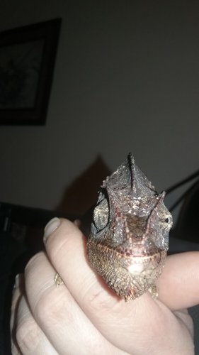 20180306_073101.jpg