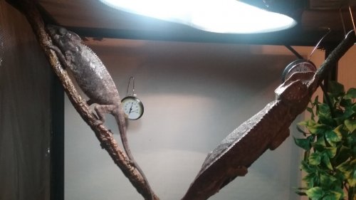 20180306_074244.jpg