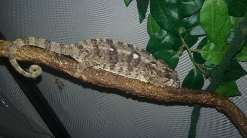 20180308_220844.jpg
