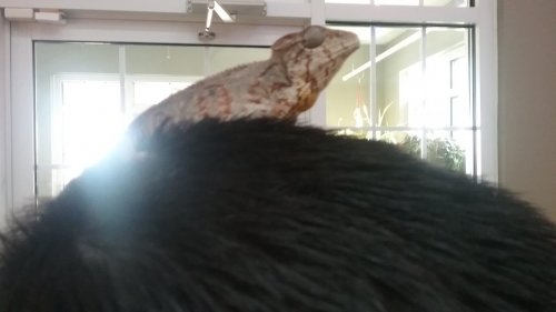 20180309_162228.jpg