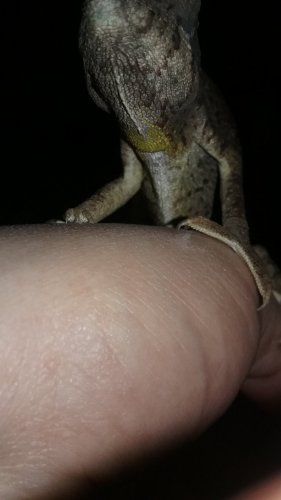 20180310_072821.jpg