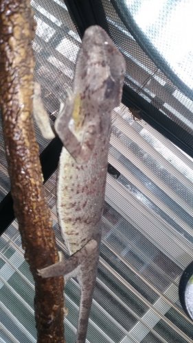 20180310_072954.jpg