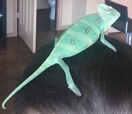 Lil Squirt 5.jpg