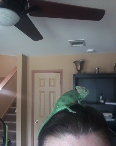 Lil Squirt 7.jpg