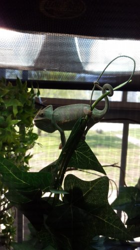 20180330_111215.jpg