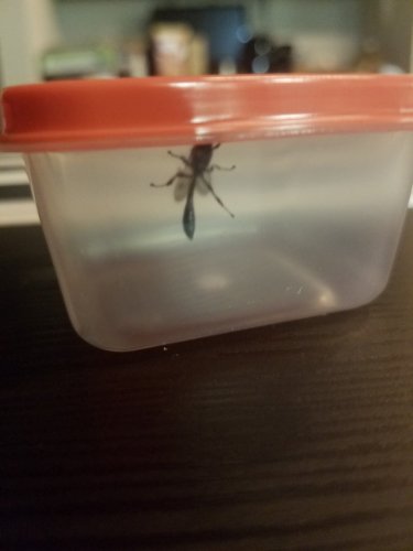 20180410_213151.jpg