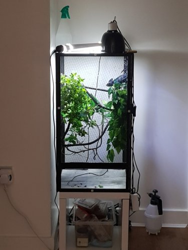 20180406_154326.jpg
