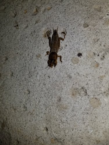 20180420_221945.jpg