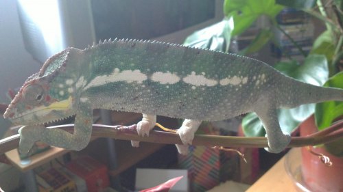 02082010057.jpg