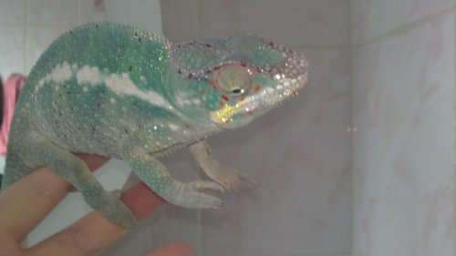 02082010076.jpg
