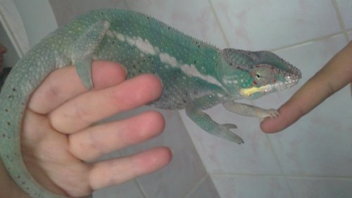 02082010085.jpg