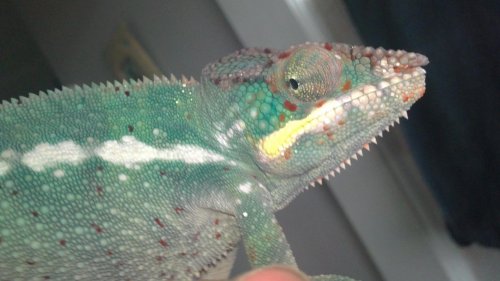02082010091.jpg