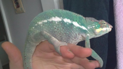 02082010090.jpg