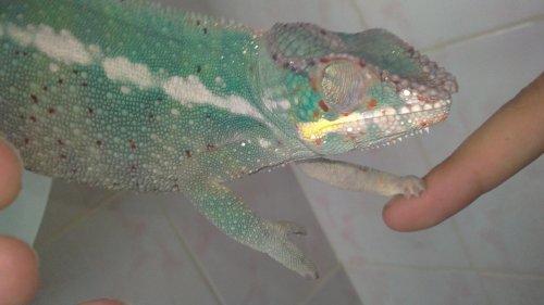 02082010086.jpg