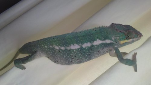 03082010103.jpg