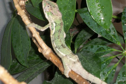 100_0984.jpg