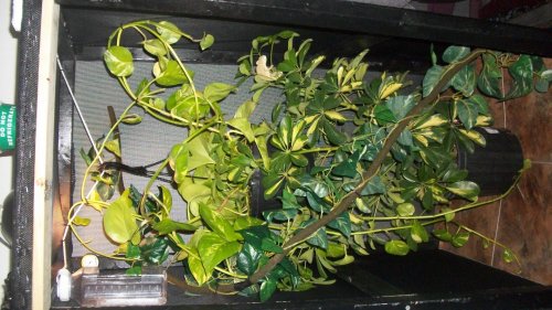100_1394.jpg