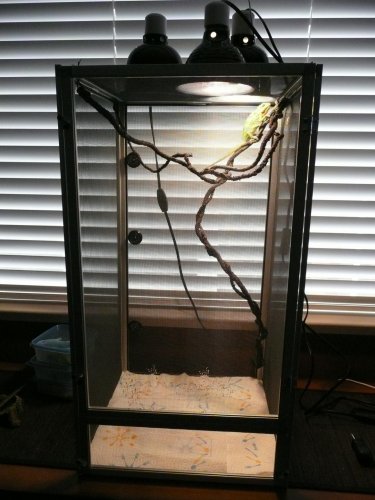 ChameleonEnclosure.jpg