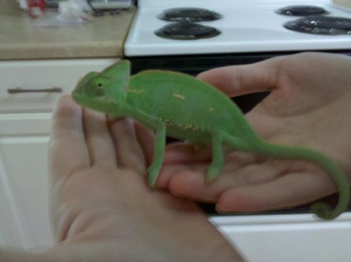 2010-08-04 14.16.11.jpg