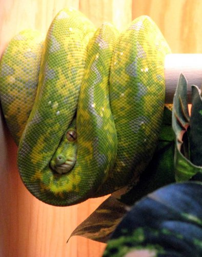 gtp6.jpg