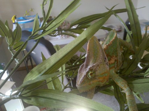 2010-08-04 17.14.15.jpg