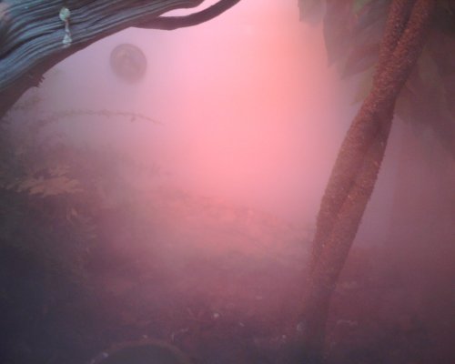 IMG00082.jpg
