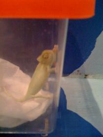 iphone pics1 140.jpg