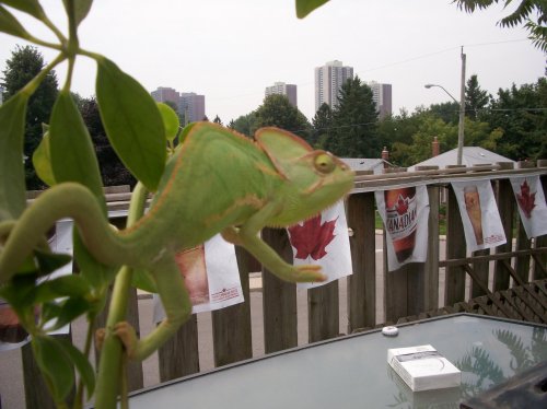100_4958.jpg